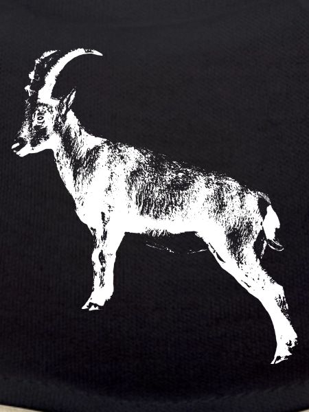 Steinbock