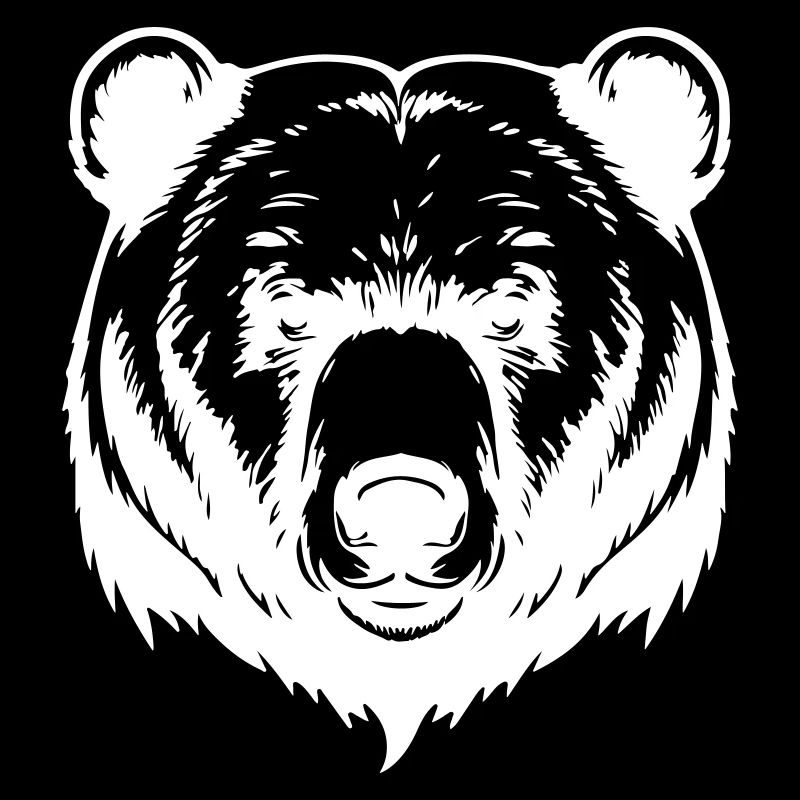 Bär Grizzly Kopf