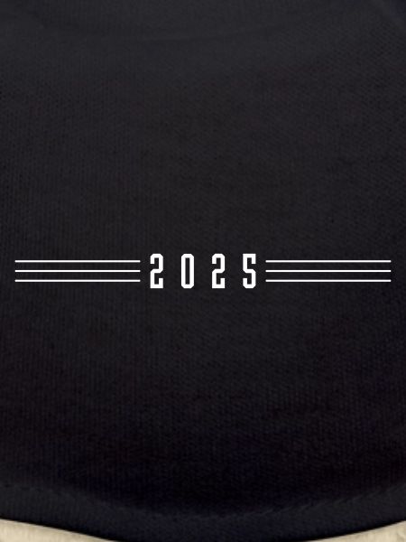 2025 year