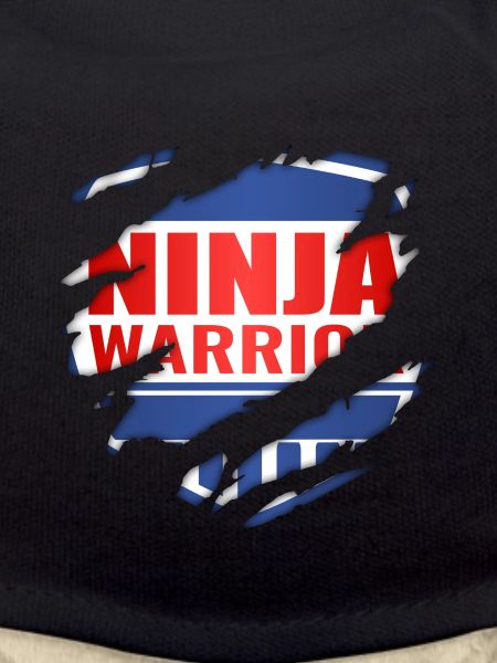 Ninja Warrior