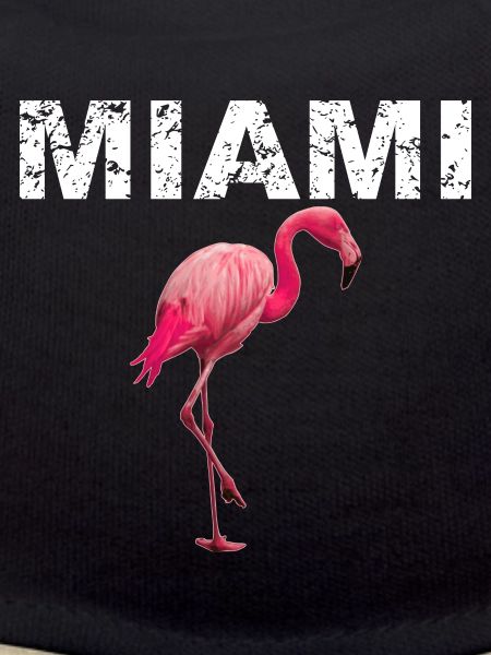 Miami Beach Flamingo