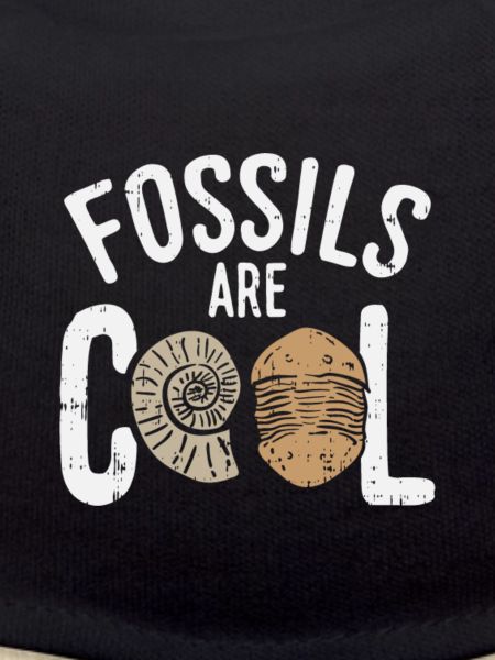 Fossils Are Cool