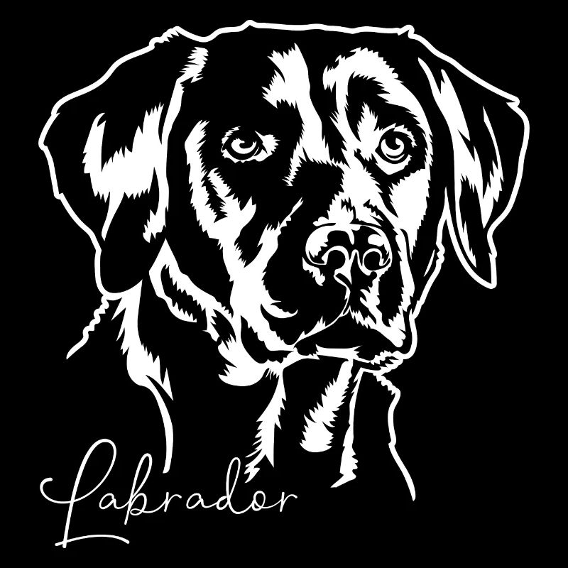 LABRADOR RETRIEVER Hunde Hund Labbi Wilsigns