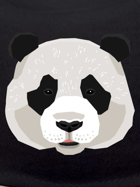 Panda panda bear