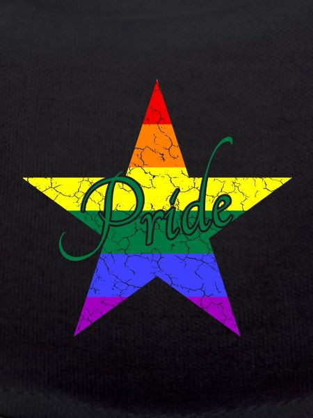 LGBTQ Pride Stern