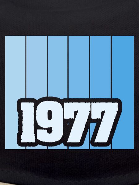 Born 1977