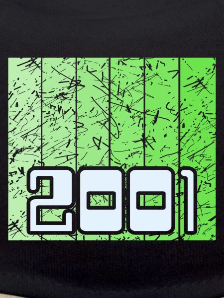 Year 2001