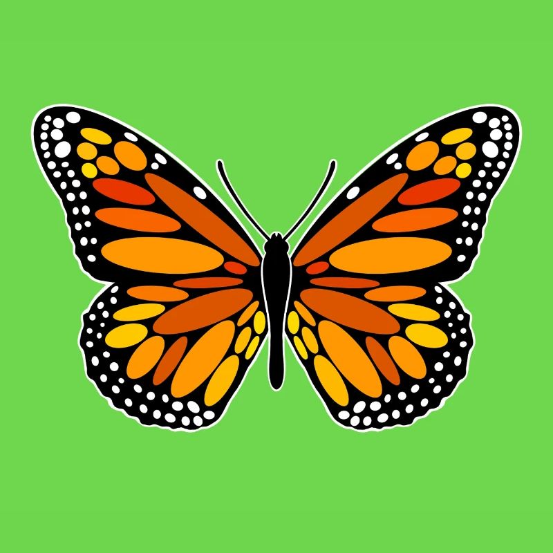 Papillon monarque