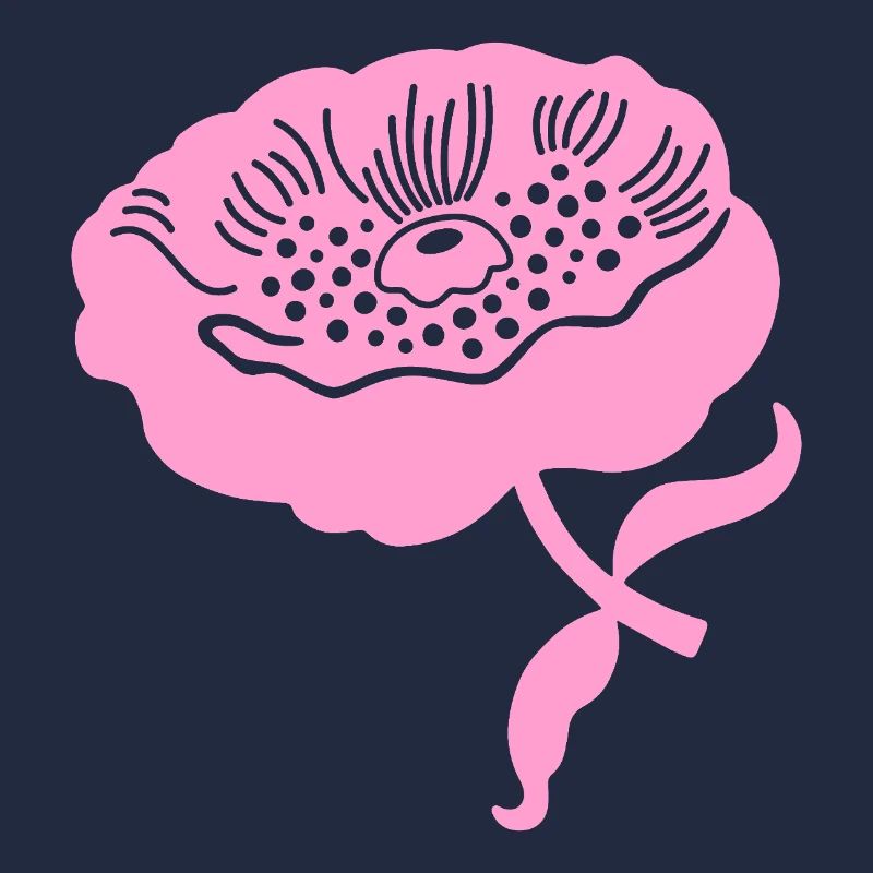 Pfingstrone L botanisch Pfingstrone L rosa
