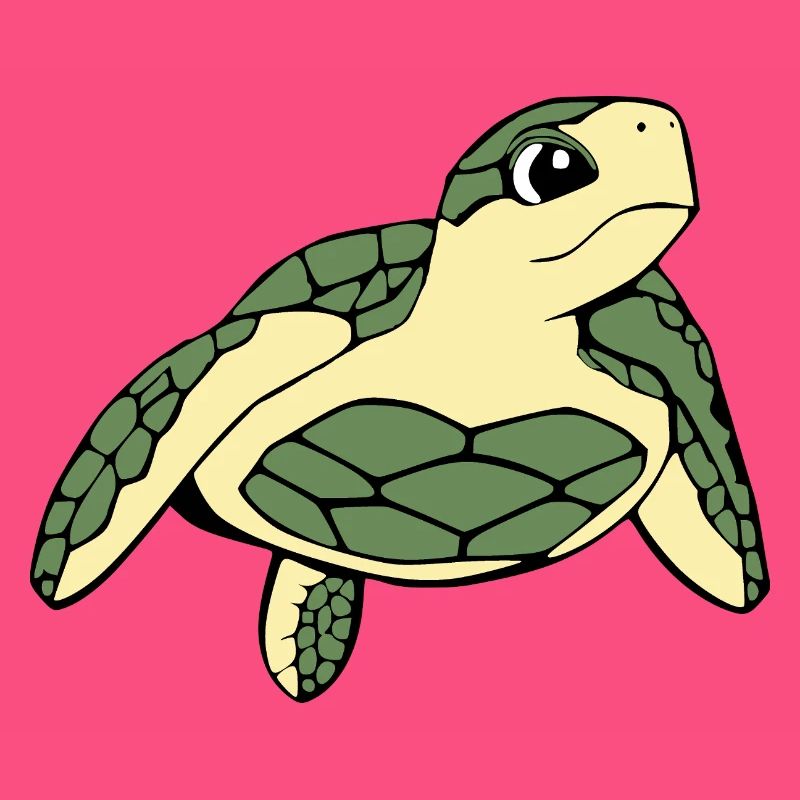 Turtle Turtles