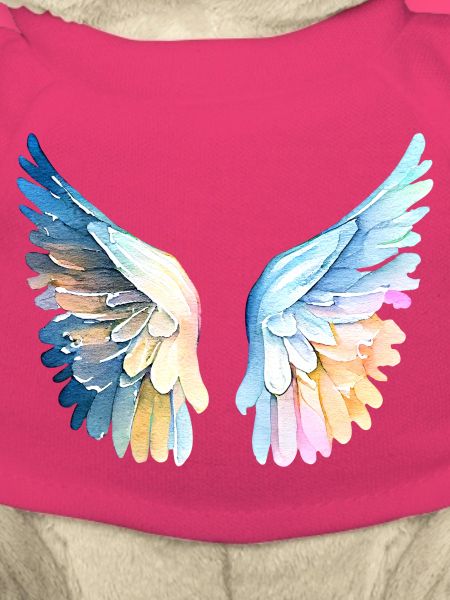 Ailes d'Ange Pastel Angelwings