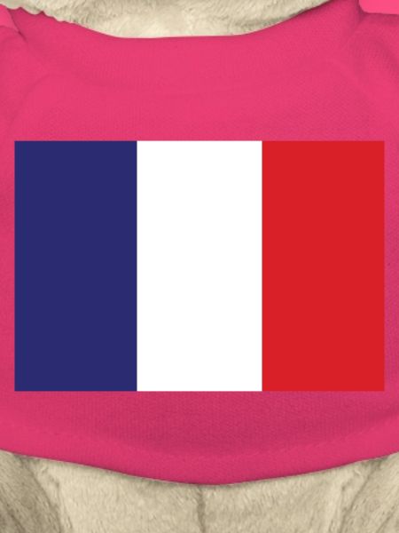 Frankreich Flagge
