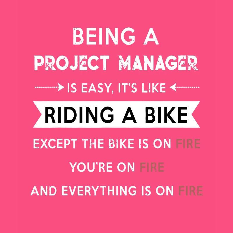 Project Manager on Fire