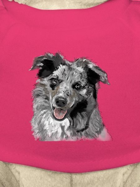 Australian Shepherd