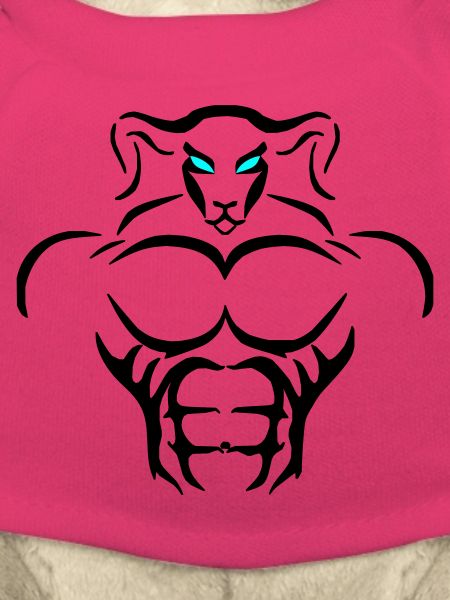Alpha Aries Deluxe