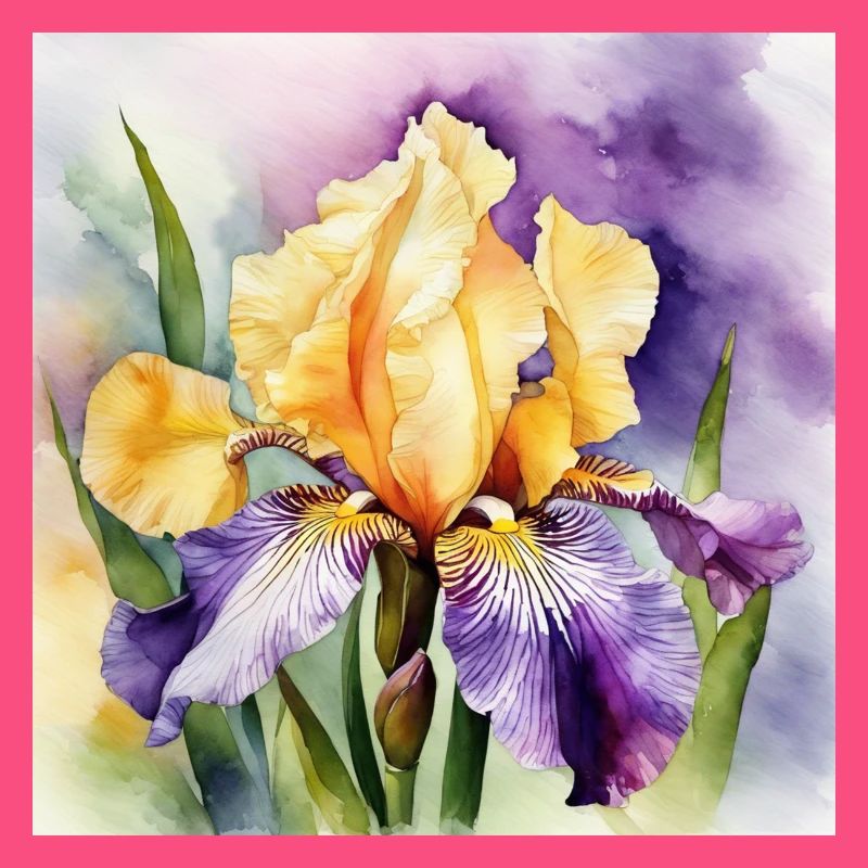 Iris iris violet orange | Conception à l’aquarelle