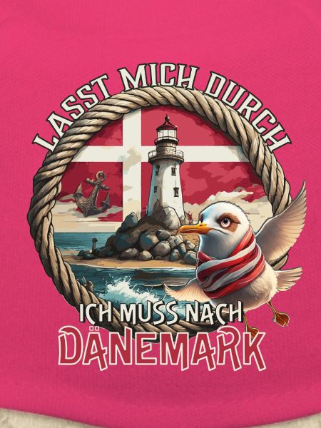 Dänemark - lasst mich durch - Möwe - Leuchtturm