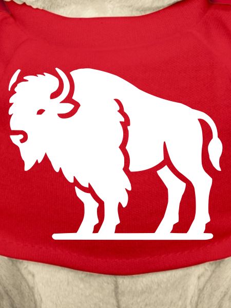Bison Animal