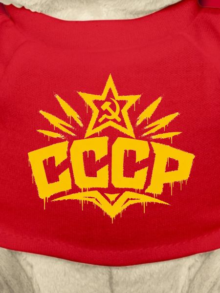 CCCP - Soviet Union - Sowjetunion - UdSSR