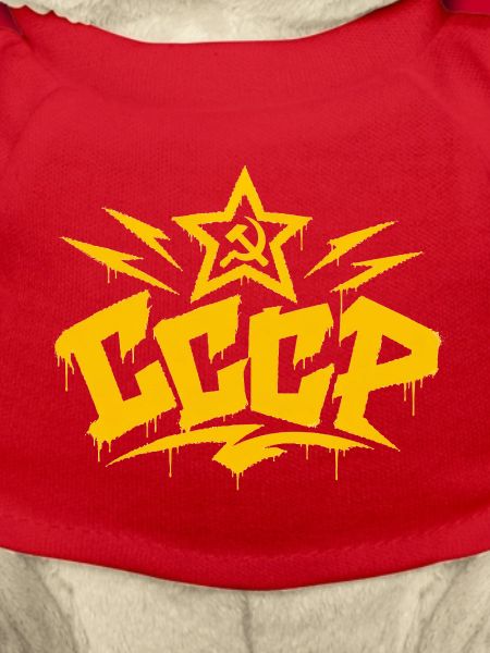 CCCP - Soviet Union - Sowjetunion - UdSSR