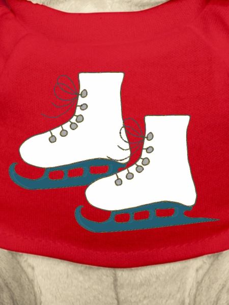 schlittschuhe