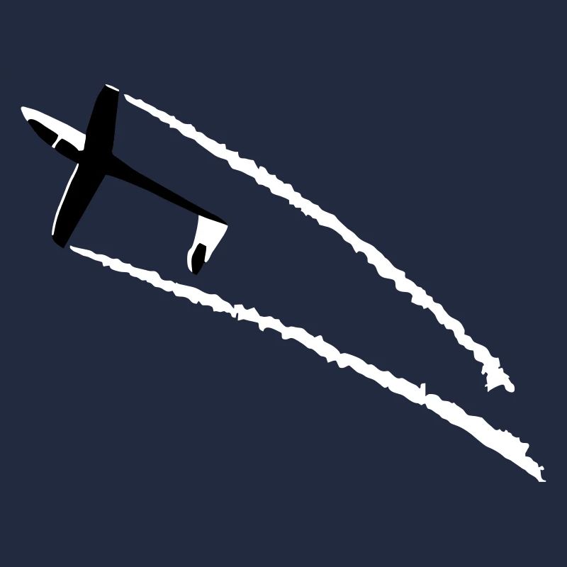 aerobatic glider glider glider glider