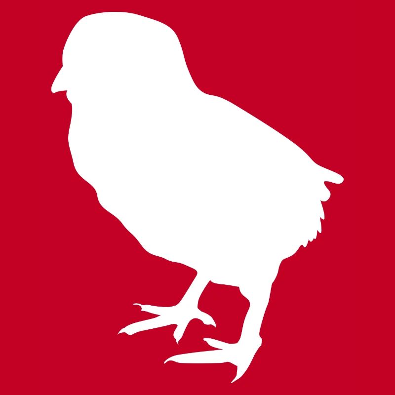poussin