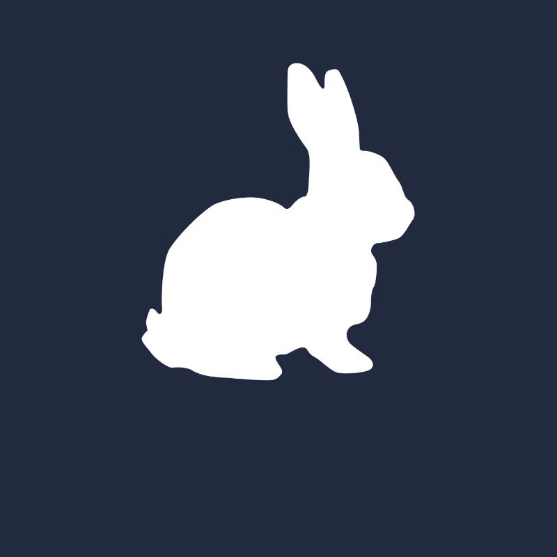 Hase