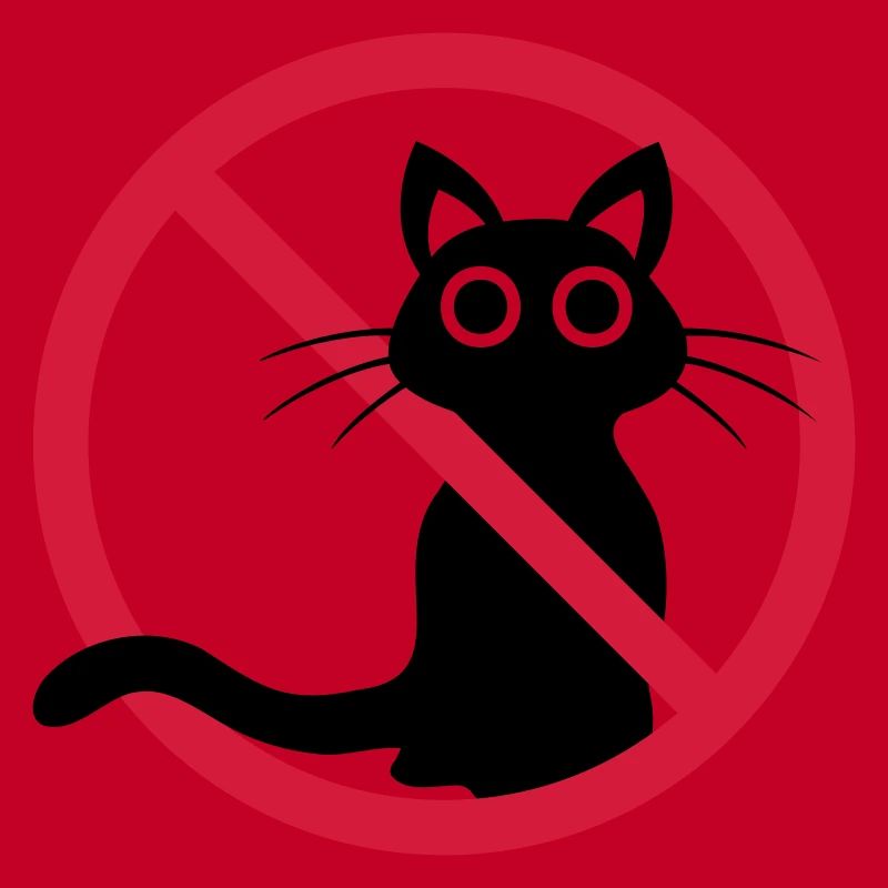 Chat noir interdit