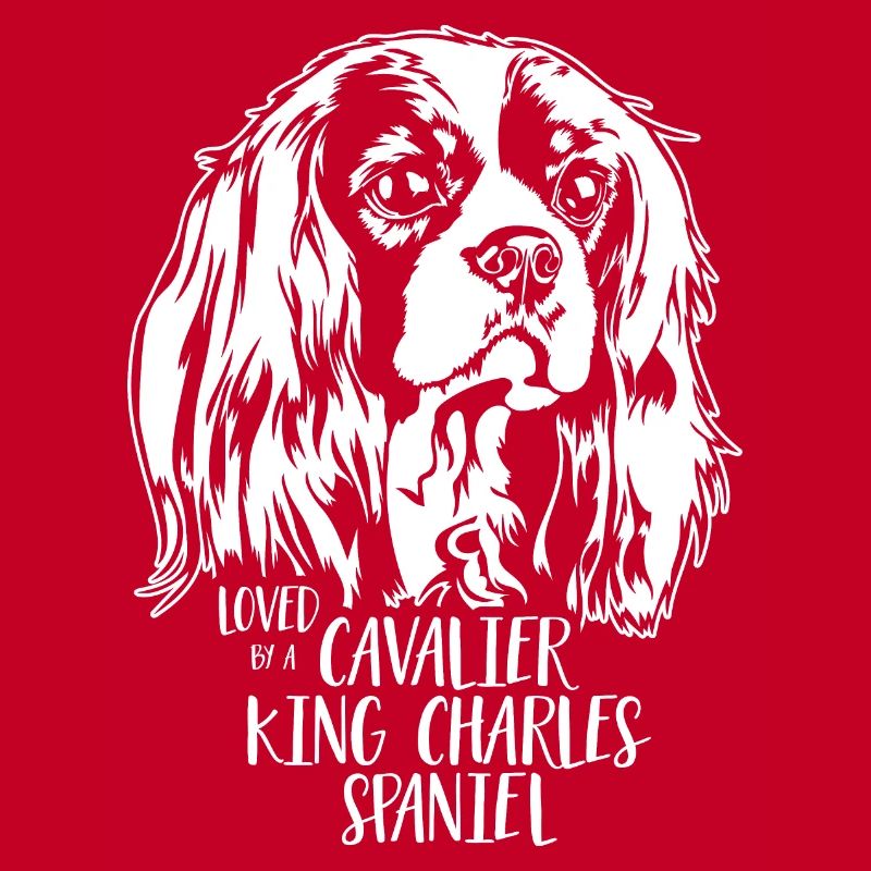 Loved by a Cavalier King Charles Spaniel Wilsigns