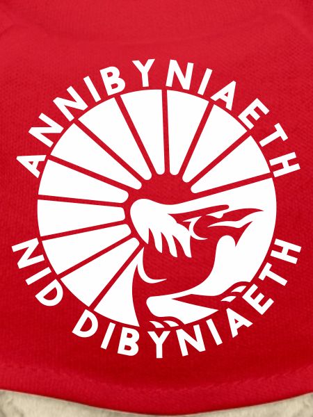 Annibyniaeth Nid Dibyniaeth