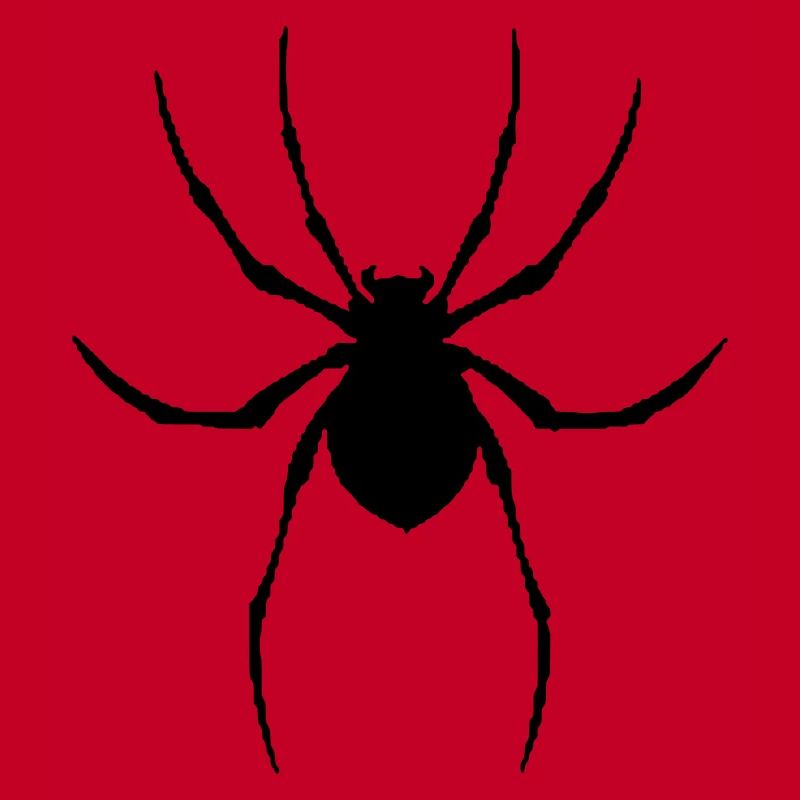 Spinne Vektorgrafik