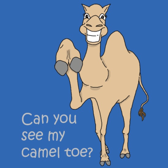 camel toe step funny sayings gift shirt' Teddy Bear | Spreadshirt