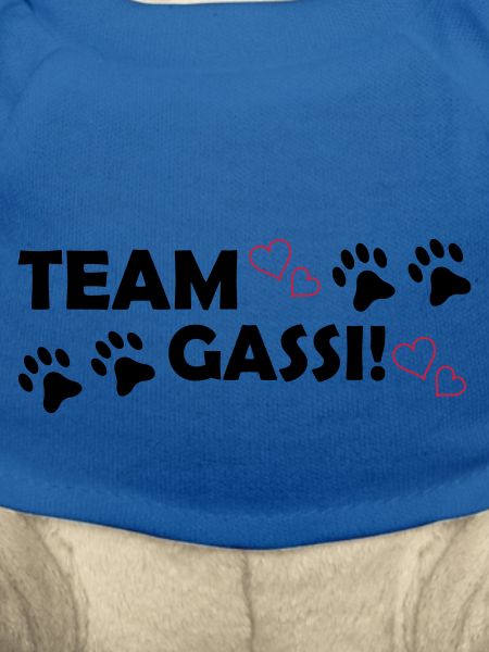 Team Gassi