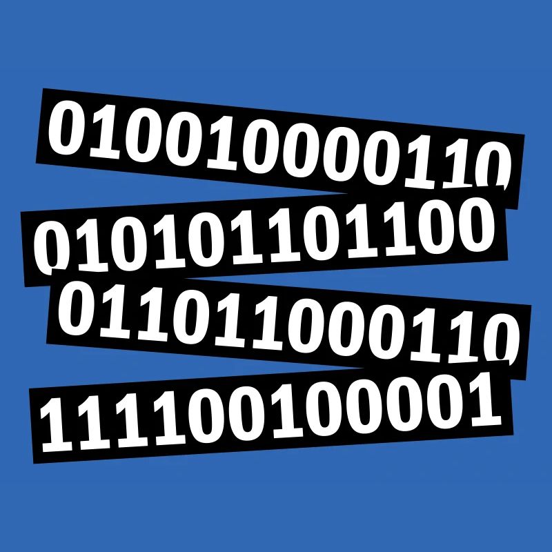Langage de programme de code binaire
