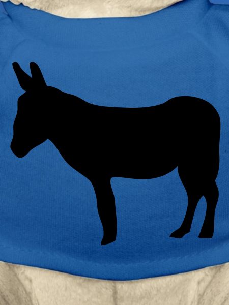 animals close ane1