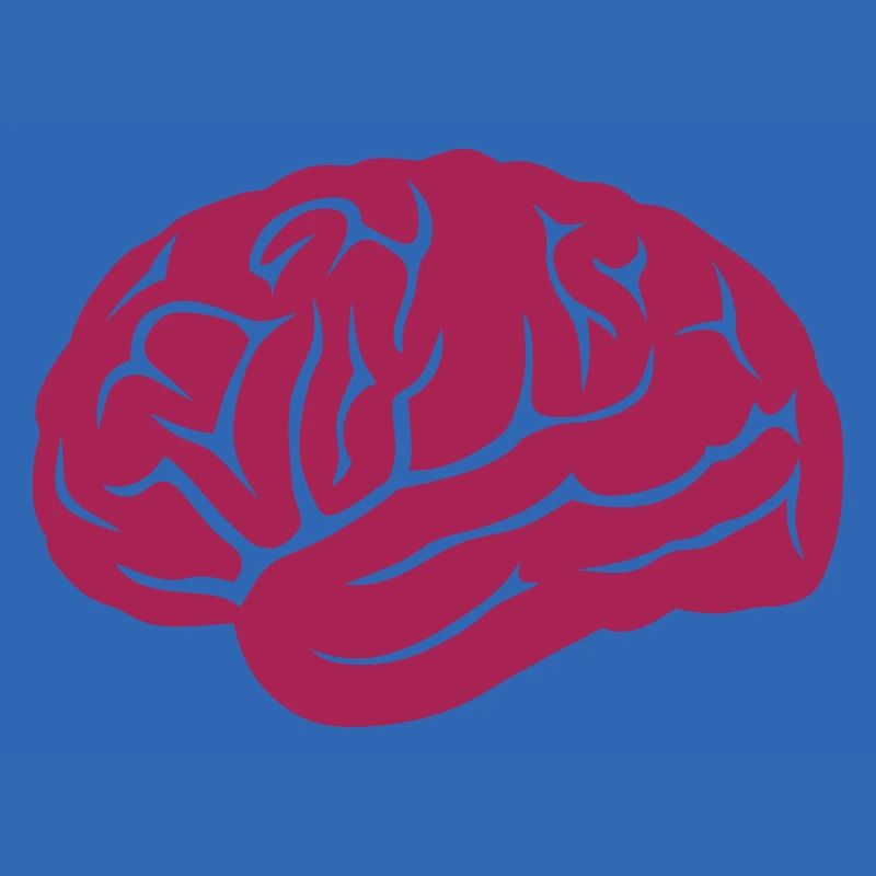 brain brain 14