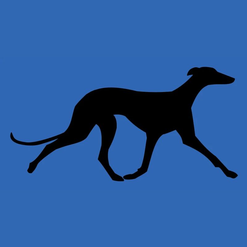 Galgo trabend