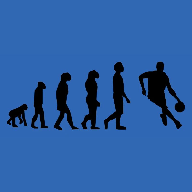 basket évolution