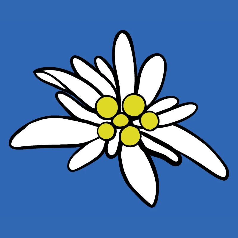 Edelweiß 1