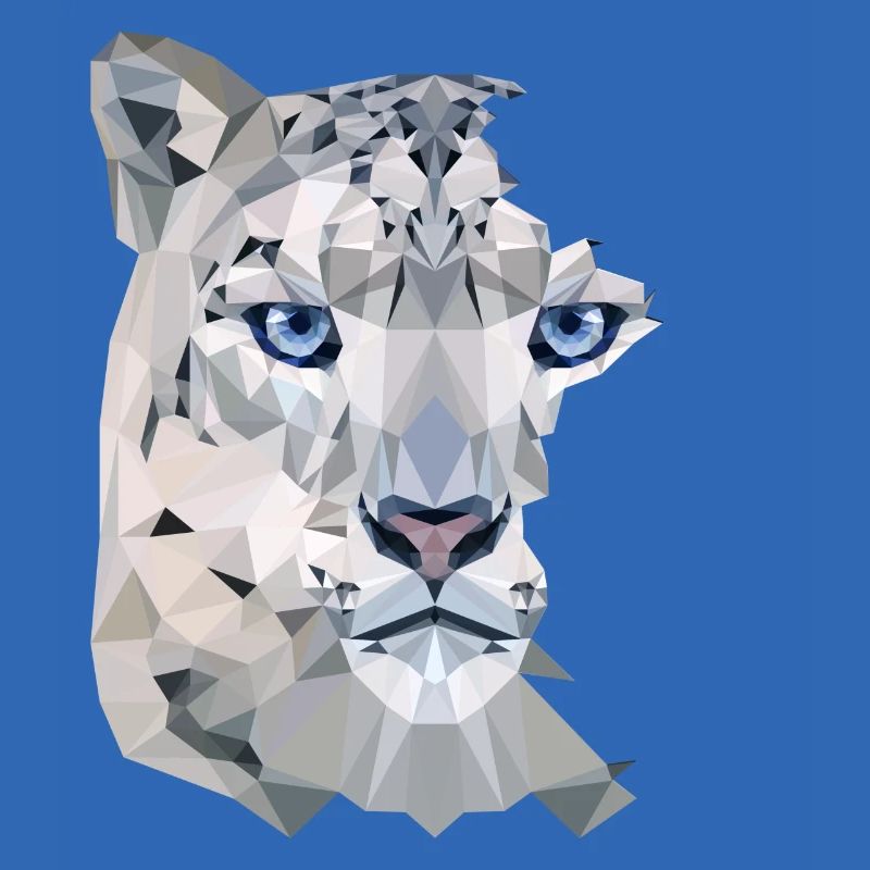 Snow Leopard Split