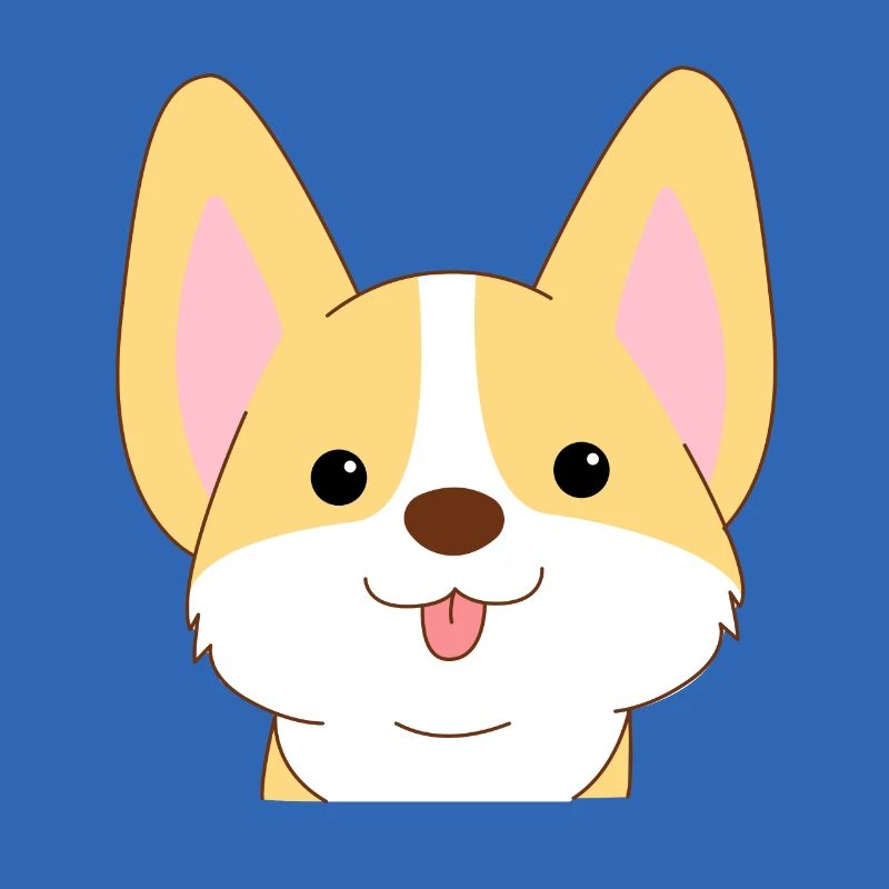 corgi doux