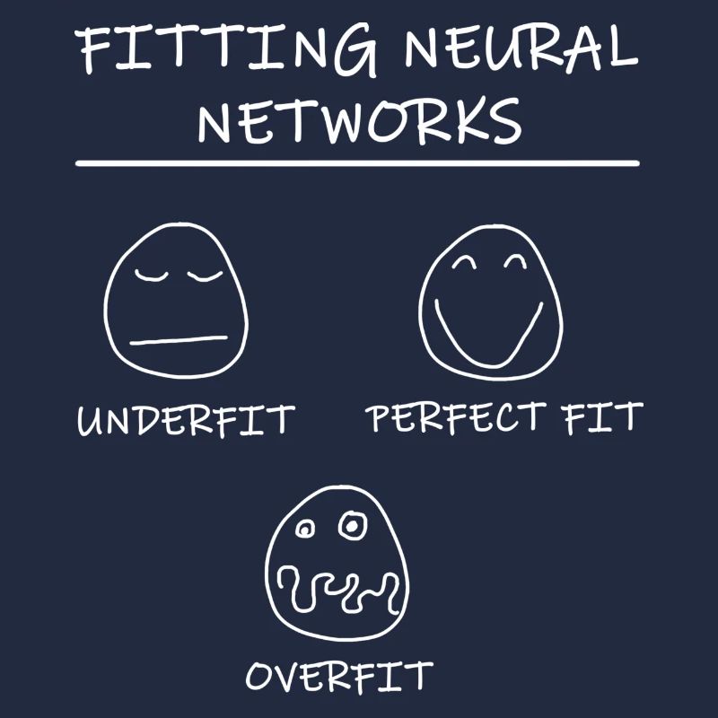 Datascience: Neural Networks Model Fitting (White)