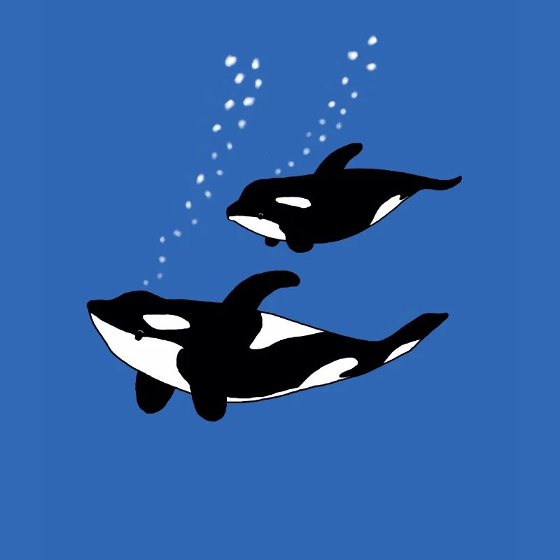 Orca Mutter mit Kind