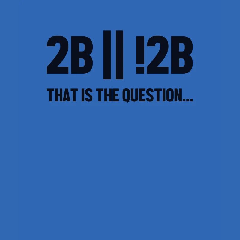 2B or not 2B Question Softwareingenieur Coder