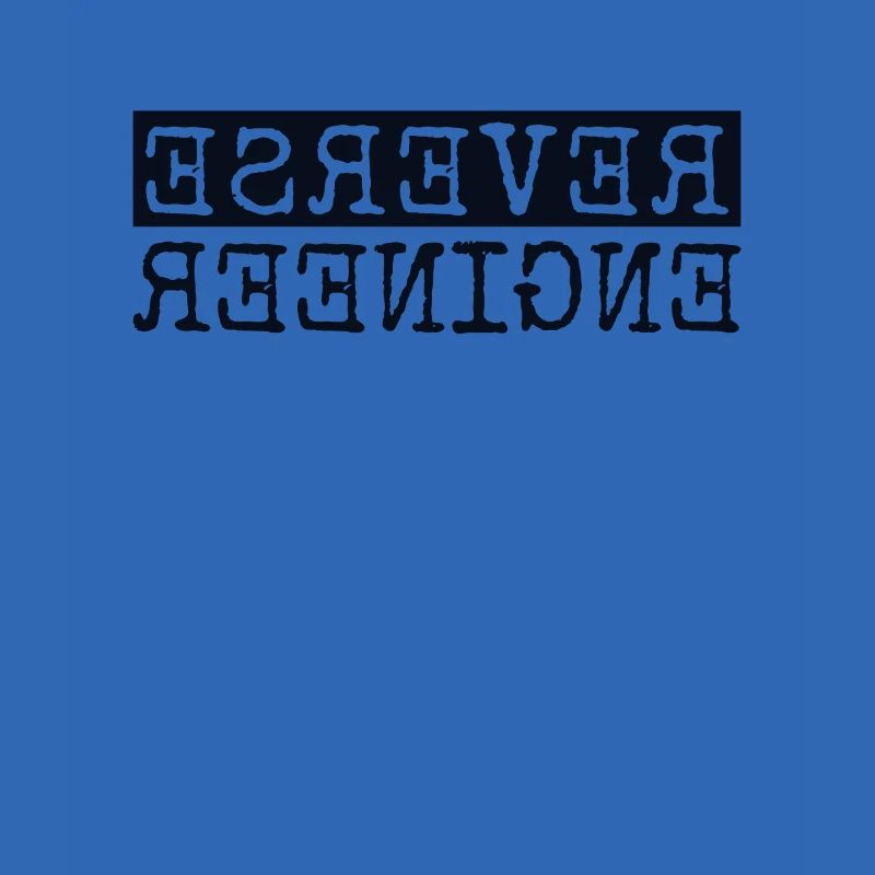 Reverse Engineer Softwareingenieur Developer