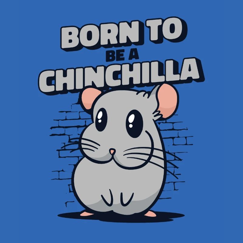 Né pour être un chinchilla à queue courte longue queue