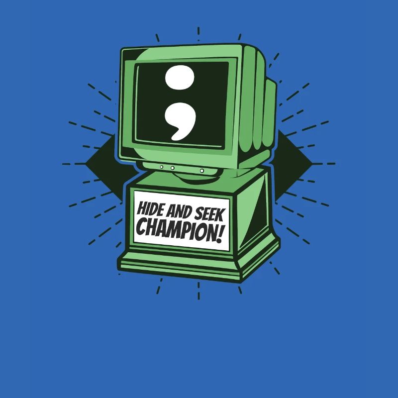 Hide And Seek Champion Softwareingenieur Coder