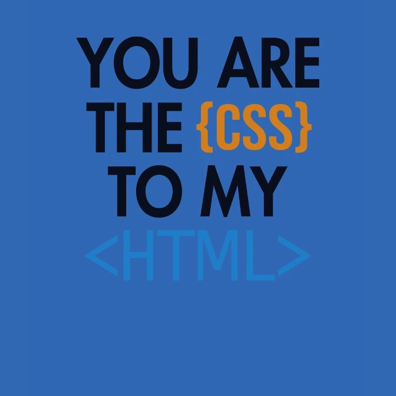 Vous êtes le CSS de mon HTML Developer Coder