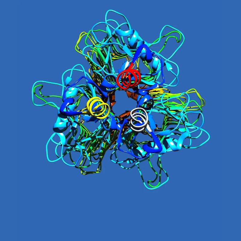 Native Tailspike Protein Molécule Bactériophage
